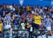 开云体育中国-里尔足球俱乐部向前迈进一步