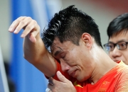 开云官方app入口-德国队碾压日本队，陈雨菲带队取胜