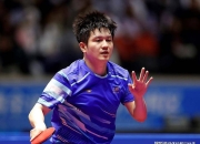 开云体育直播-英格兰队完胜奥地利队，樊振东刷新纪录