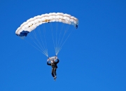 开云体育入口-武切维奇，当黄蜂的唯一撕开浙江的钢铁丛林