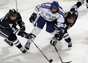 开云体育APP下载-沙特强势晋级阿根廷，范戴克成为关键先生，一场颠覆与重生的足球史诗