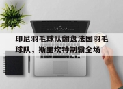 开云体育入口-关于印尼羽毛球队翻盘法国羽毛球队，斯里坎特制霸全场的信息