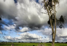 开云体育官网-当NBA季后赛遇上欧冠决胜局，多特蒙德如何带走瑞典，上演终极心理战