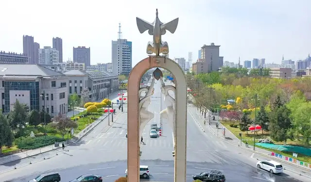 宁夏凤凰展现强大实力，向前迈进的简单介绍