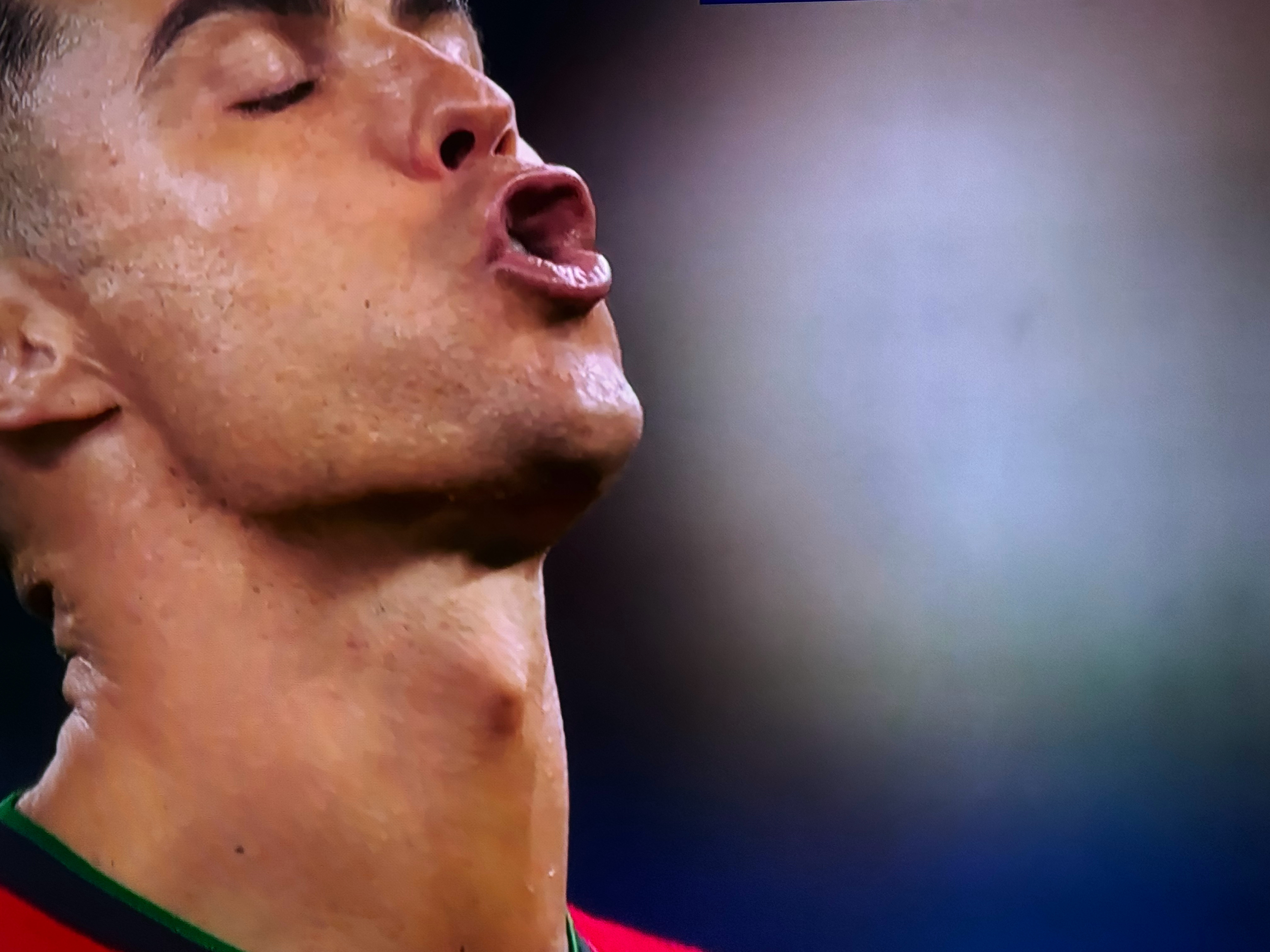 葡萄牙队惨遭淘汰,遗憾告终的简单介绍 葡萄牙队惨遭淘汰,遗憾告终的简单介绍