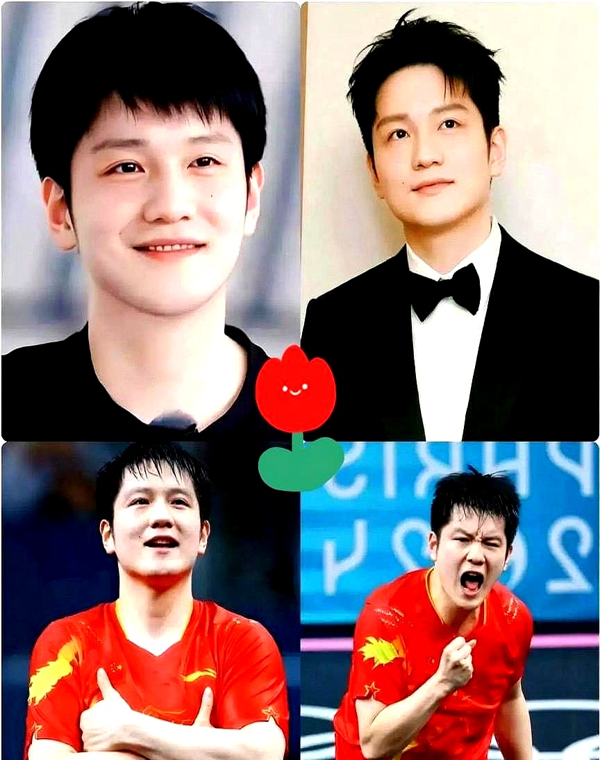 德国队碾压葡萄牙队,樊振东带队取胜 德国队碾压葡萄牙队,樊振东带队取胜