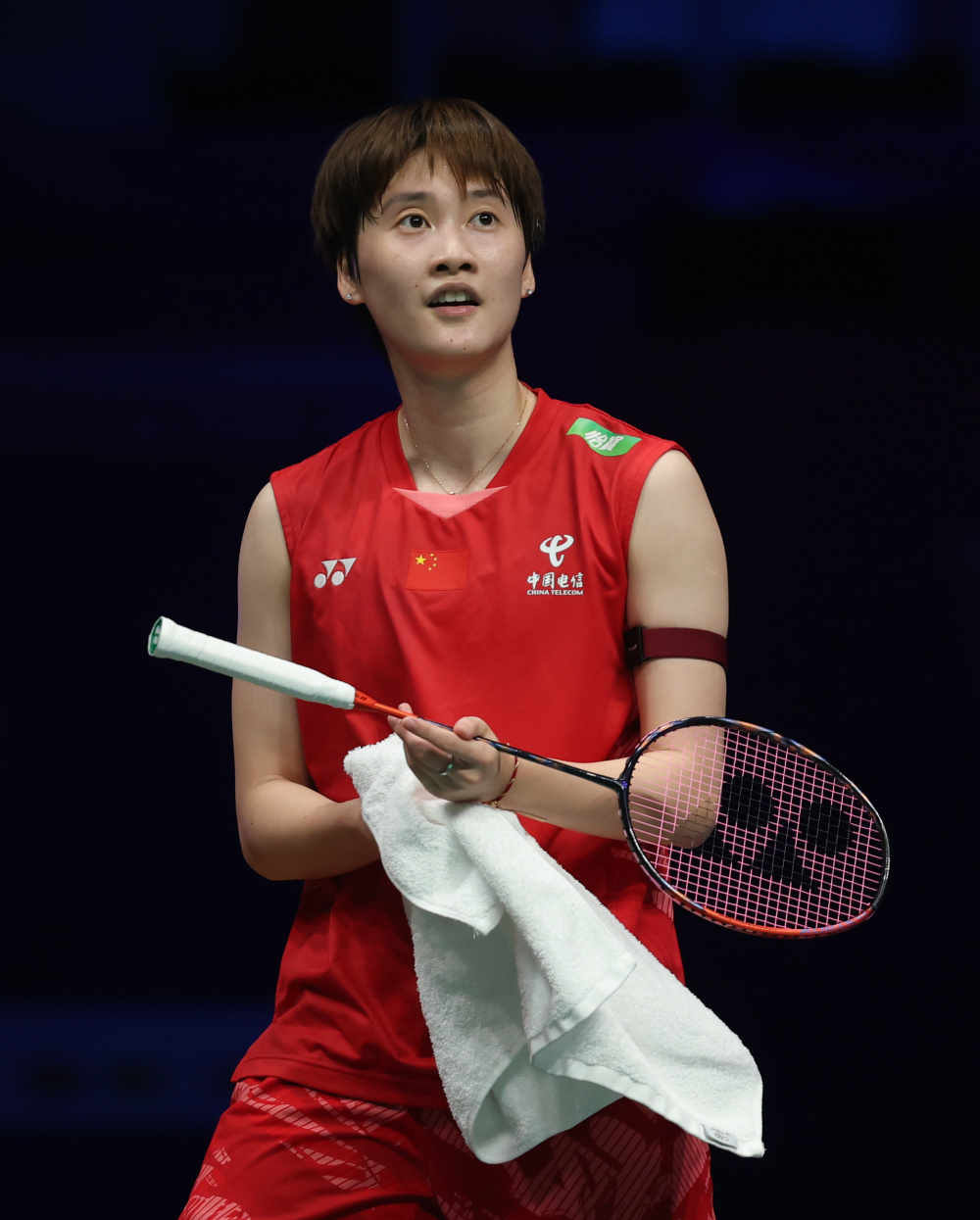 包含马来西亚队绝杀法国队，陈雨菲惊艳四座的词条