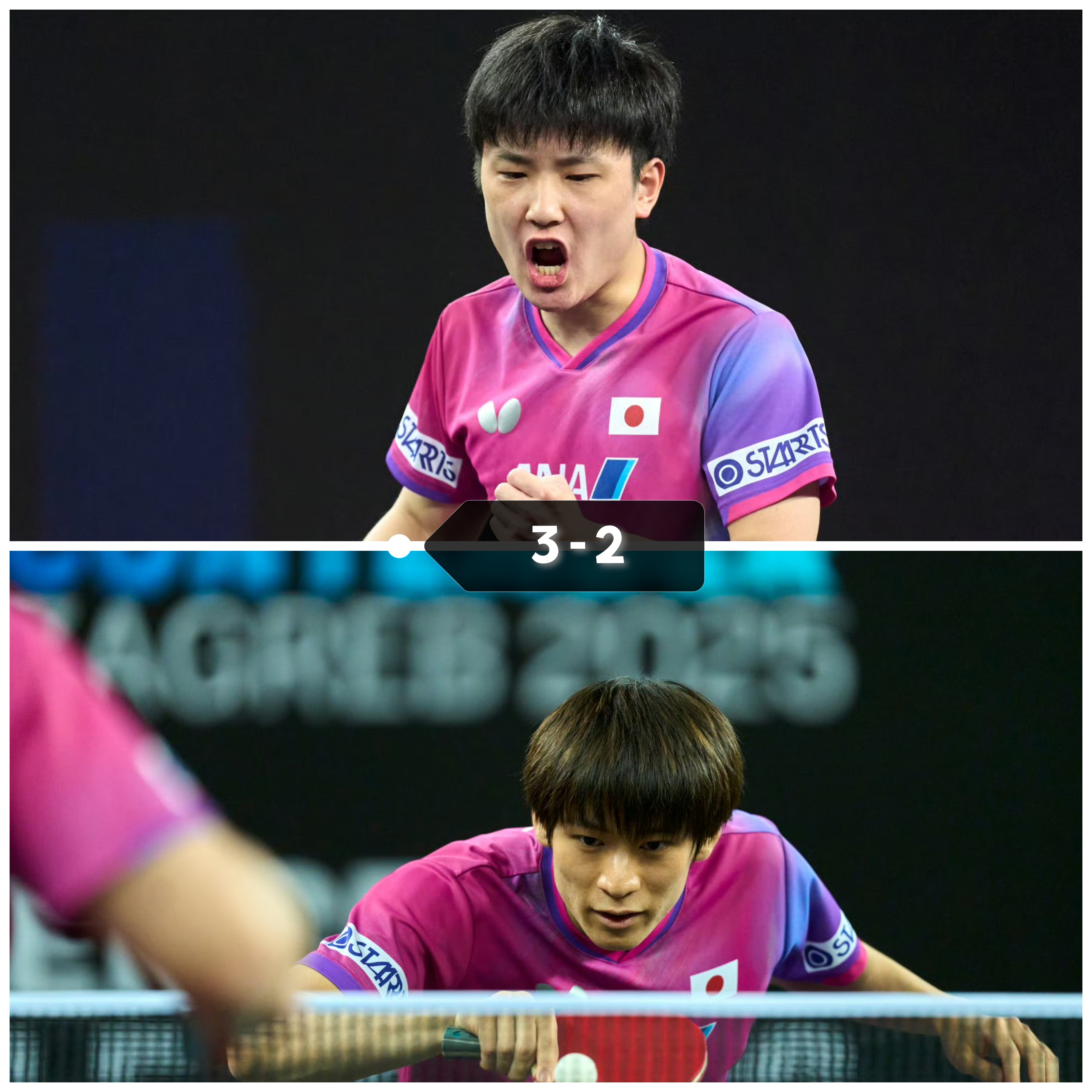 包含葡萄牙队险胜德国队，张本智和高光表现的词条