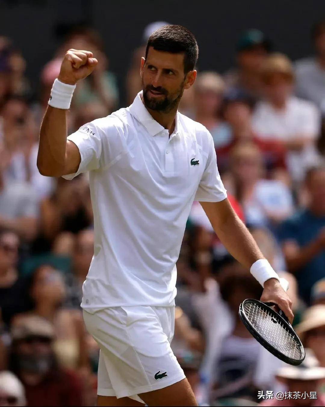 温网逆转拉沃尔杯，德约科维奇扛起全队的简单介绍